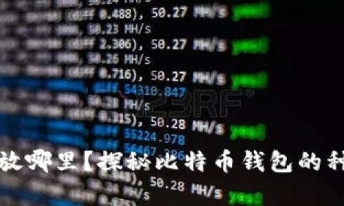 比特币存放哪里？探秘比特币钱包的种类与选择