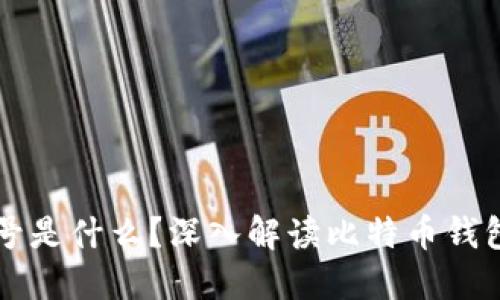 比特币钱包账号是什么？深入解读比特币钱包的作用与功能